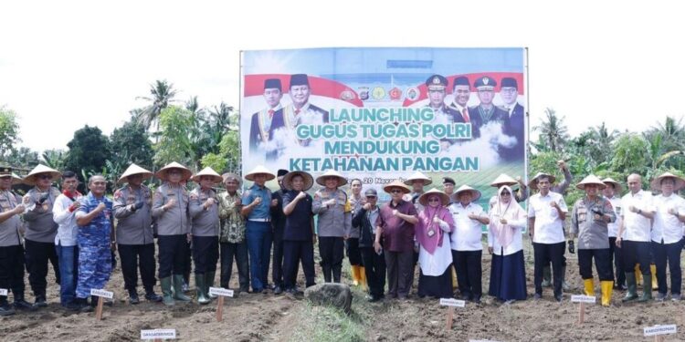 Ketua DPRD Sumbar Hadiri Tanam Jagung Polda Sumbar
