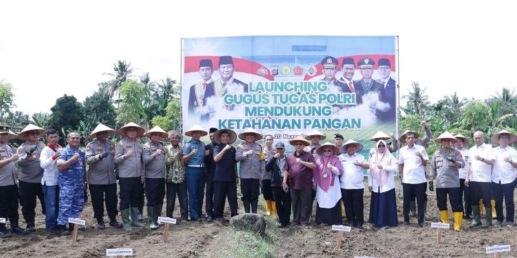 Ketua DPRD Sumbar Hadiri Tanam Jagung Polda Sumbar